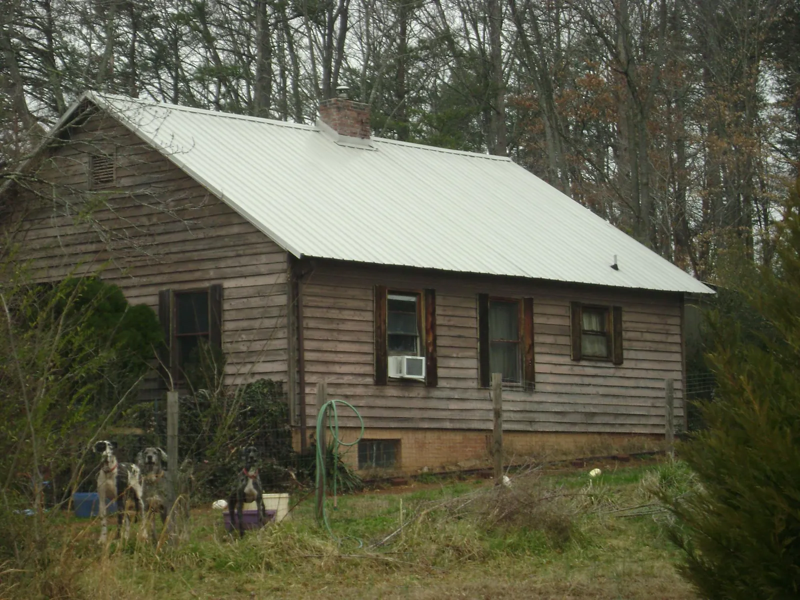 White metal roof on an old wood sided farmhouse, from a Metal Roof Installation job in Forest